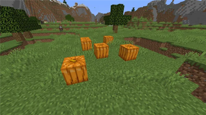 Тыквы появились в равнинном биоме в Minecraft