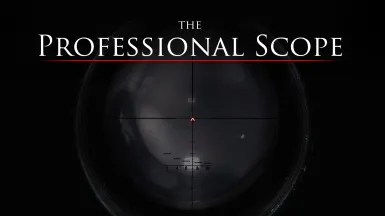 The Professional Scope