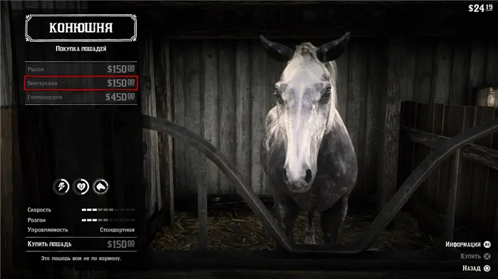 Как получить лучшую лошадь в Red Dead Redemption 2: породы лошадей, цены, характеристики, чистка, приручение, оживление, модернизация