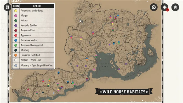 Red dead redeye wild horse карта 2