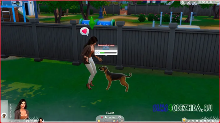 Как приютить бездомную собаку в The Sims 4 - рисунок 1