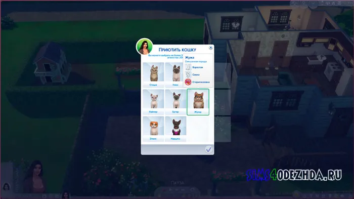 Как купить питомца в The Sims 4 - Фото 3