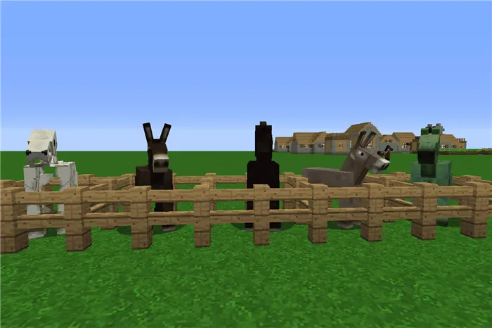 Лошади, ослы и мулы в Minecraft