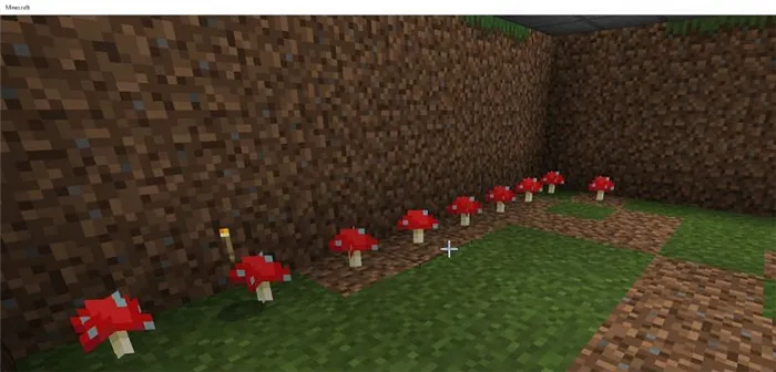  Как выращивать грибы в Minecraft6|
