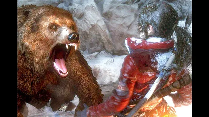  Борьба с сибирскими медведями