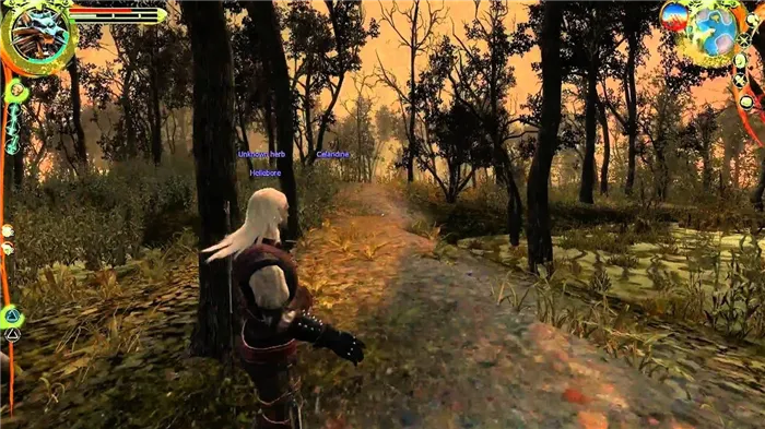 Скриншот из The Witcher