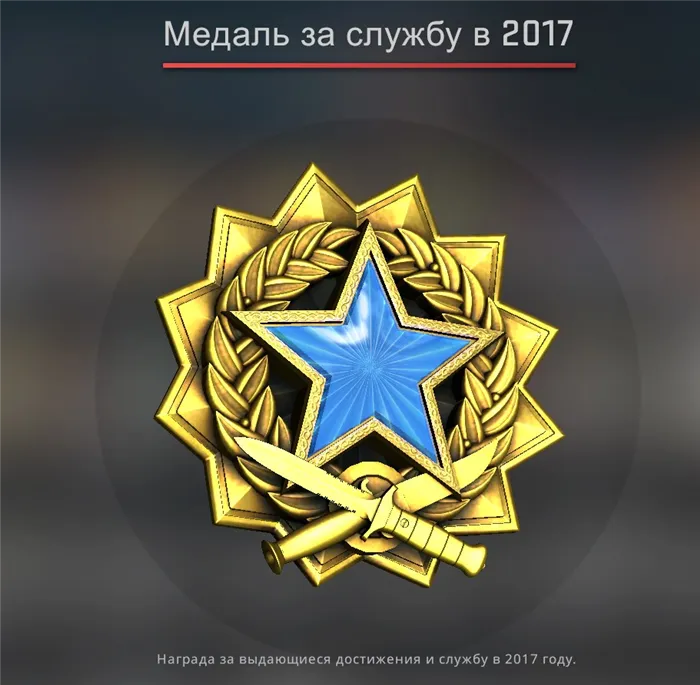 медаль за службу 2017