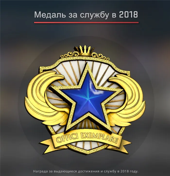 медаль за службу 2018