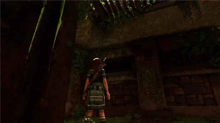 Прохождение побочных заданий в Shadow of the Tomb Raider