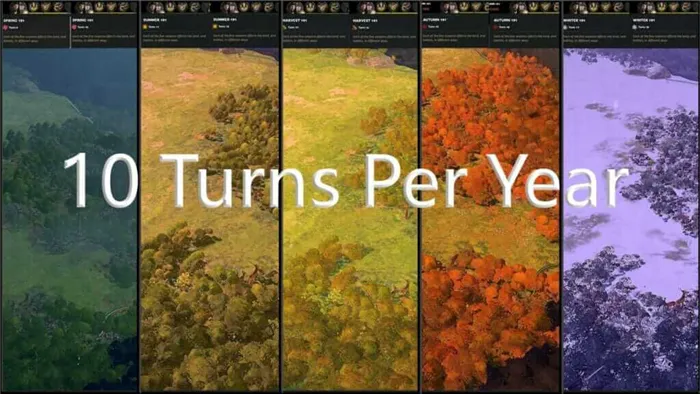 10 Turns Per Year