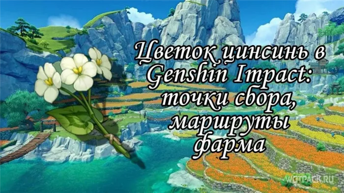 цветок цинсинь в Genhsin Impact