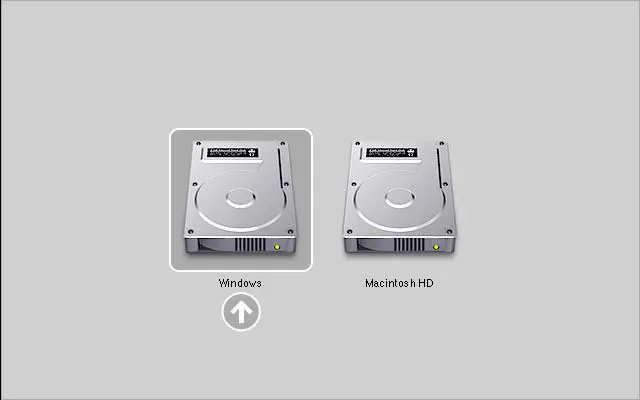Windows - Macintosh