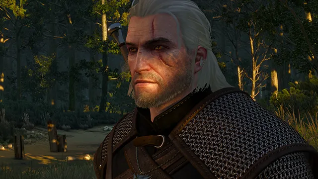 thumb_pre_1432400750__the-witcher-3-wild